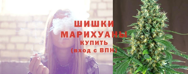 jwh Гусев