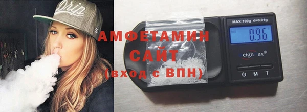 тгк Дмитриев