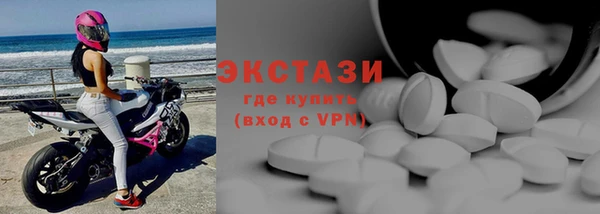 тгк Дмитриев