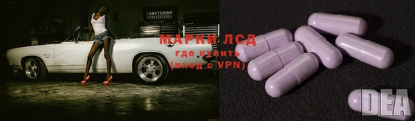 ECSTASY Гусь-Хрустальный