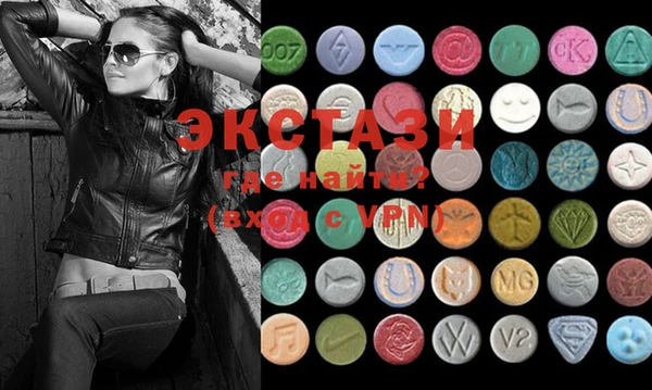 ECSTASY Гусь-Хрустальный