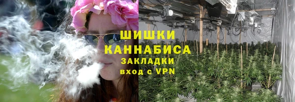 тгк Дмитриев