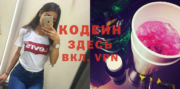 ECSTASY Гусь-Хрустальный