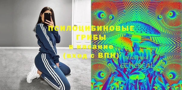 таблы Дмитровск
