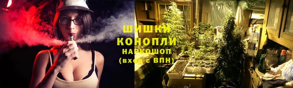 тгк Дмитриев