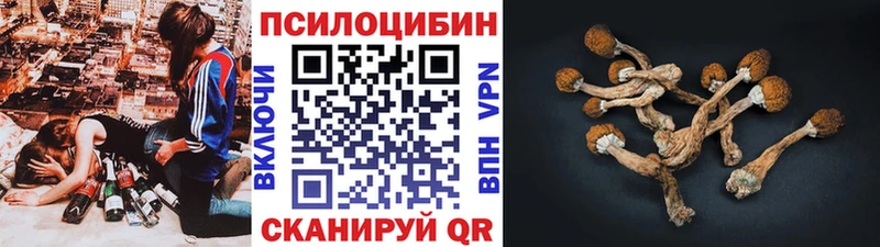 OMG сайт  Горячеводский  Псилоцибиновые грибы Psilocybine cubensis 